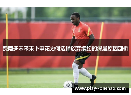 费南多未来未卜申花为何选择放弃续约的深层原因剖析