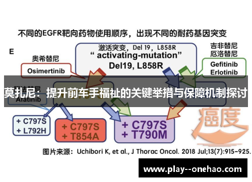 莫扎尼:提升前车手福祉的关键举措与保障机制探讨 莫扎尼:提升前车手福祉的关键举措与保障机制探讨